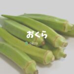 離乳食オクラ